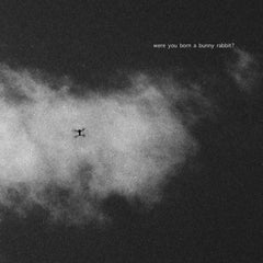 Aria Rostami // Were You Born a Bunny Rabbit? ART BOOK+DL CODE