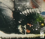 Randy Greif // It's In A Box CD