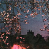 カモミール と メリッサ (Chamomile & Melissa) // through the branches of trees TAPE