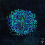 Brainbeats // Ubiquity LP