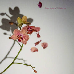 Bruno Bavota // I'm losing you LP