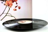 Bruno Bavota // I'm losing you LP