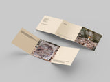 Duelling Ants // Shared Buffers CD