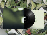 ylayali // caterpillar graveyard LP