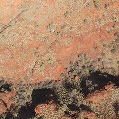 Lawrence English / Werner Dafeldecker // Tropic of Capricorn LP [COLOR]