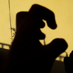 Suzan Peeters // Cassotto LP