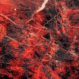 AWB // Celestial Longitude EP 12inch