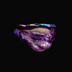 Drew Wesely / Laura Cocks / Camilo Ángeles / Lester St. Louis / Carlo Costa // A Fine Chance for Permanence LP [COLOR]