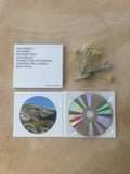 Nev Wendell // Chaparral CD