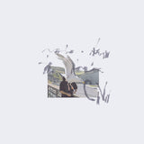 Ciro Vitiello // notes from the air LP