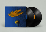 Nils Edte // Cogitat 2x12inch