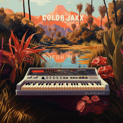 ColorJaxx // In Between 2x12inch