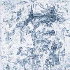 Johnny Coley // As I Slip into the Sky LP