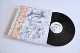 Johnny Coley // As I Slip into the Sky LP