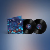 Aja Monet // The Color Of Rain 2xLP