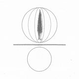 Stephen O'Malley // Spheres Collapser LP