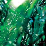 Command D // Esc 12inch