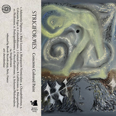 Concrete Colored Paint // Strigiformes TAPE