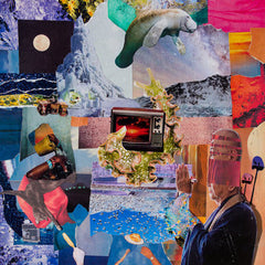 Trellis // Field of Coincidence TAPE
