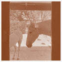 J.WLSN & Liam Keenan // Country/The Country CD