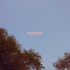 Walrus Ghost // If You Could Be Here Now LP