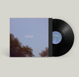 Walrus Ghost // If You Could Be Here Now LP