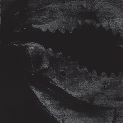 A.M.B. // Early Recordings 1991 TAPE