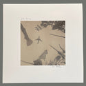 Luke Cowan // Six Places (Special Edition) LP