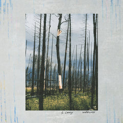 S. Carey // Watercress 12inch