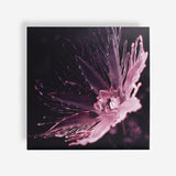 Dania // Listless LP