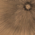 Katatonic Silentio // Dance of the Sun 2x12inch