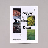 Angie Waller // Trippy Training Data ART BOOK