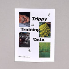 Angie Waller // Trippy Training Data ART BOOK