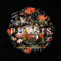 DayKoda // PHYSIS LP