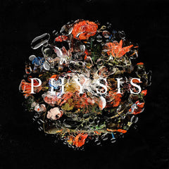 DayKoda // PHYSIS LP