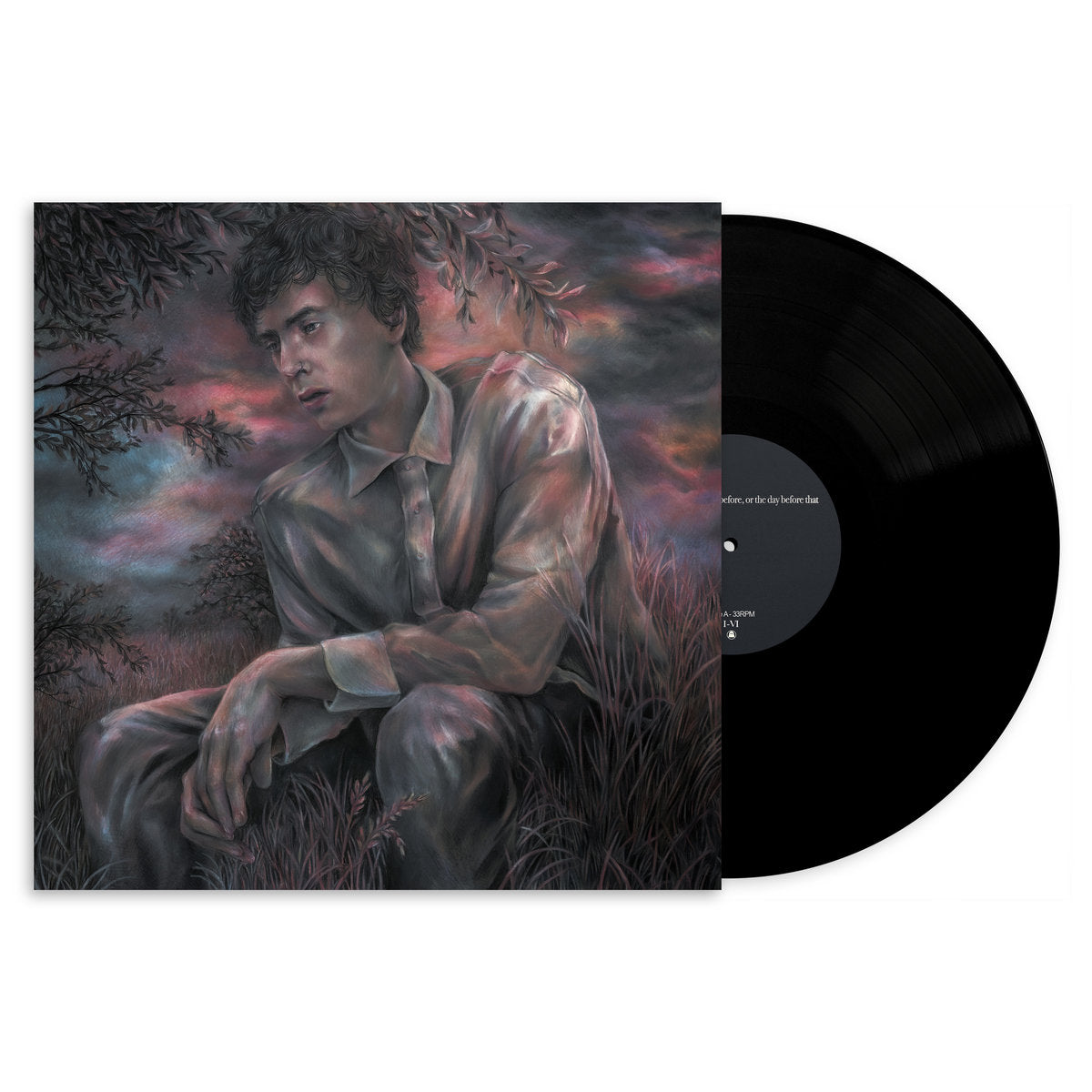 pains of being pure at heart 限定マーブルレコード pains of being pure at heart 限定マーブルレコード Pains Of