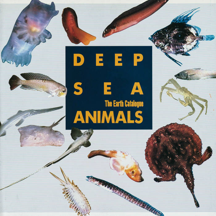 Deep Sea Animals // DEEP SEA ANIMALS LASERDISC SOUNDTRACK LP