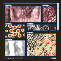 Saapato + Various Artists // Decomposition: Fox on a Highway TAPE