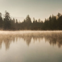 Purl // Deep Ground 3x12inch