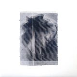 Glyn Maier // after the deluge LP [COLOR]