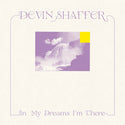 Devin Shaffer // In My Dreams I'm There LP [BLACK/COLOR]
