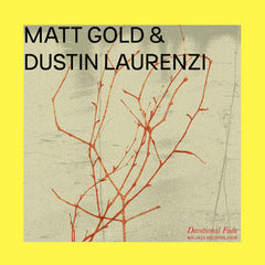 Matt Gold & Dustin Laurenzi // Devotional Fade LP