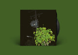 Giuseppe Ielasi // Down On Darkened Meetings LP