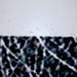 Sarah Marsh // DOD TAPE