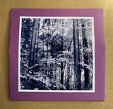 Marcin Lasek // Brat/Dom CDr