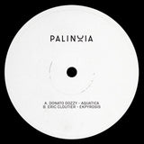 Donato Dozzy & Eric Cloutier // Palinoia LTD 001 12inch