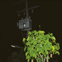 Giuseppe Ielasi // Down On Darkened Meetings LP
