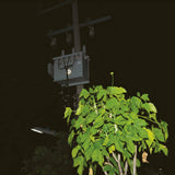 Giuseppe Ielasi // Down On Darkened Meetings LP