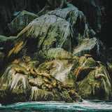 From A Harbour Softly Drawn // Shepherds LP