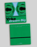 Yaka // Dream Big LP
